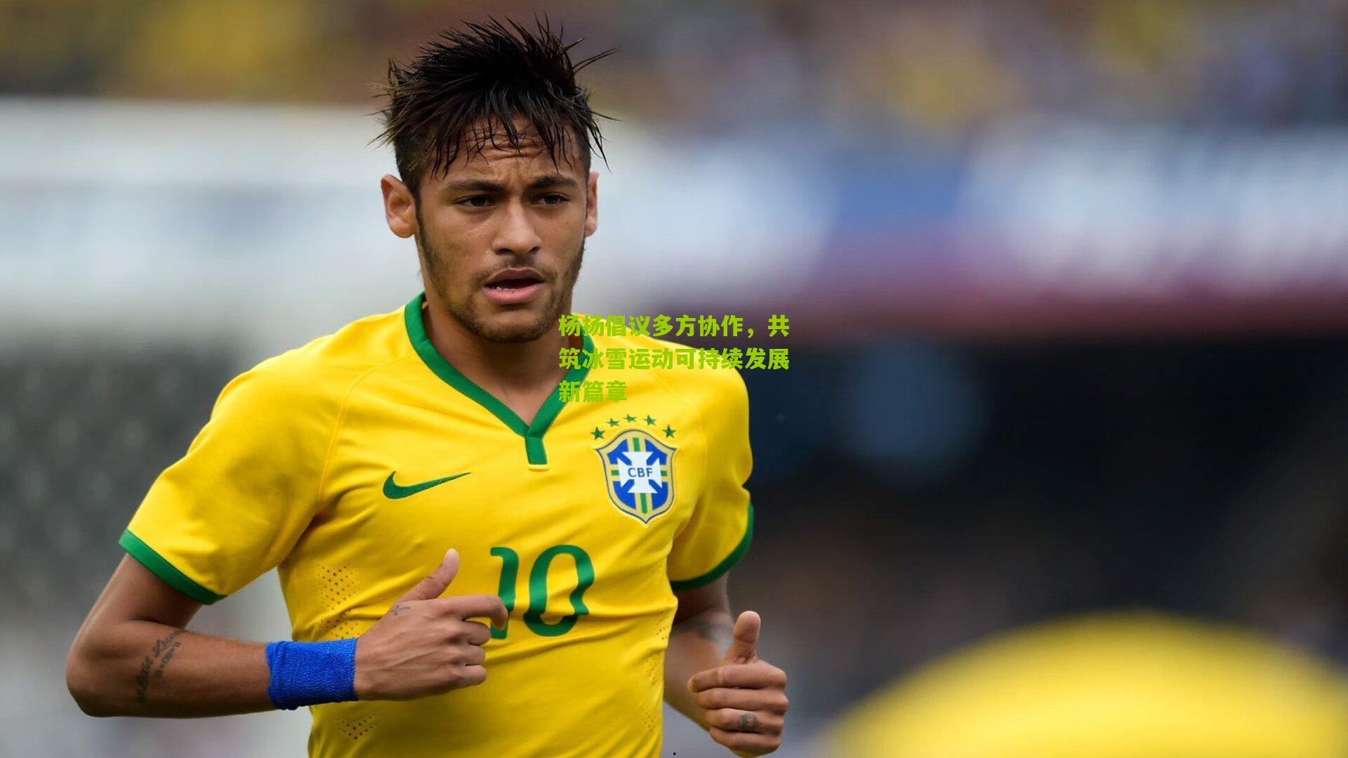 杨扬倡议多方协作,共筑冰雪运动可持续发展新篇章